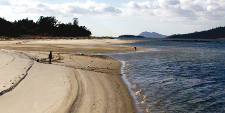 Praia do Testal